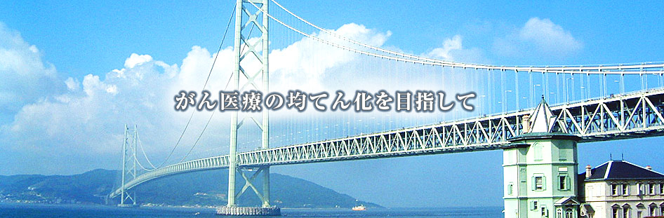 がん医療の均てん化を目指して